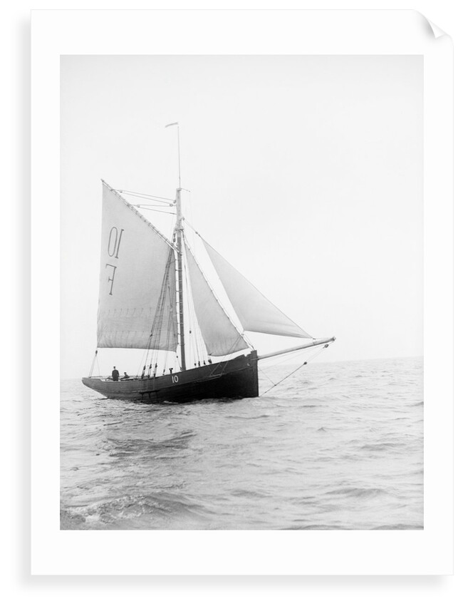 Pilot No. 10 (Br, 1852) under sail by unknown