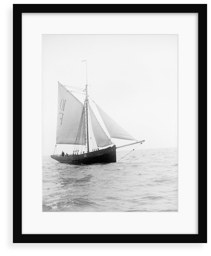 Pilot No. 10 (Br, 1852) under sail by unknown