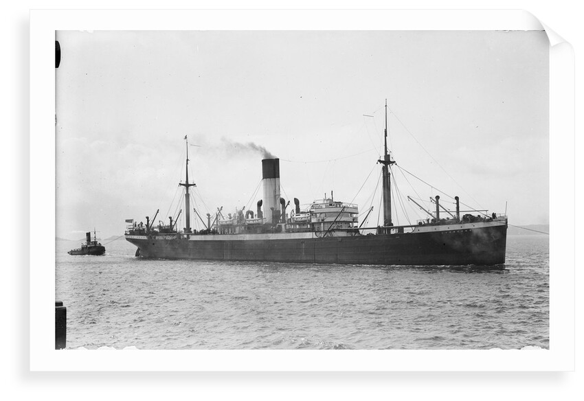 Photograph of the ship HMS Laomedon (1912) by unknown