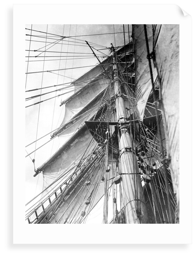 On board the 'Parma': looking aloft on the Mizzen, the interlacing stays supporting the mast by Alan Villiers