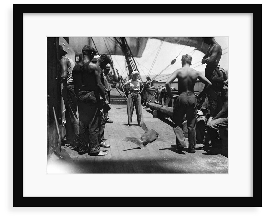 Shark on the main deck, caught by the crew by Alan Villiers