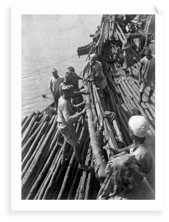 Unloading mangrove poles from the 'Triumph of Righteousness' by Alan Villiers
