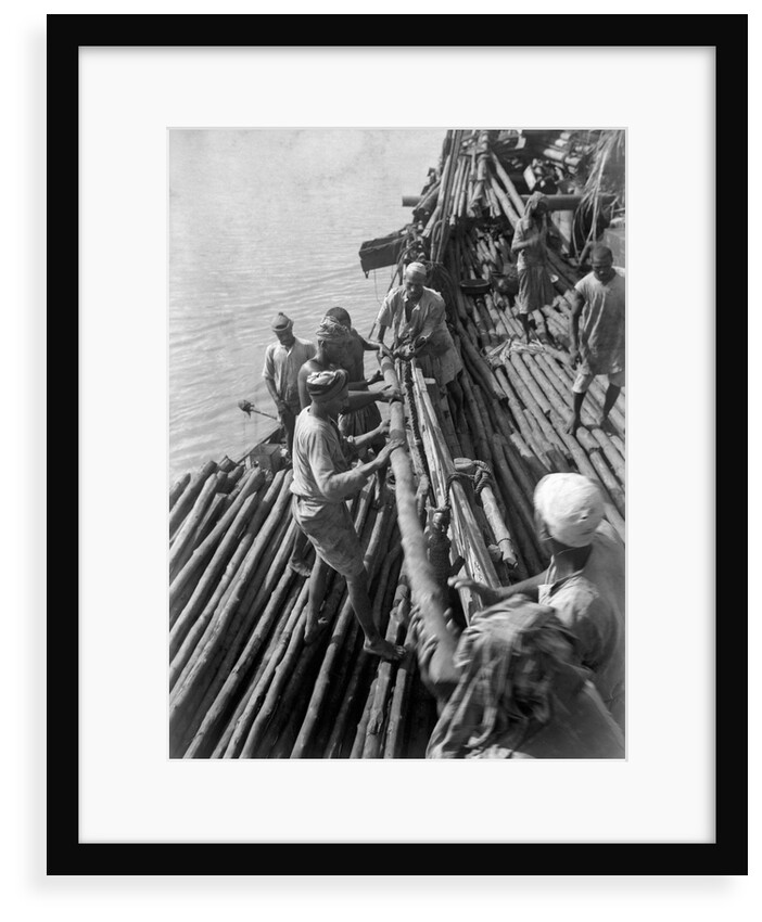 Unloading mangrove poles from the 'Triumph of Righteousness' by Alan Villiers