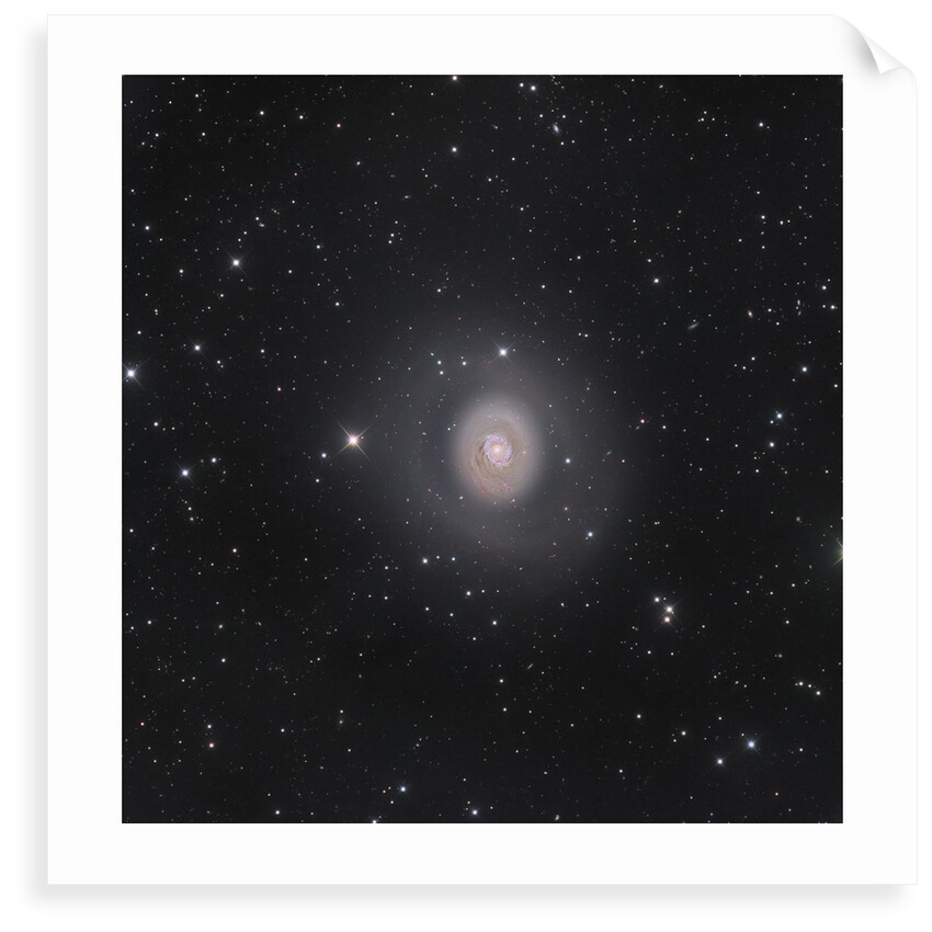 M94: Deep Space Halo by Nicolas Outters