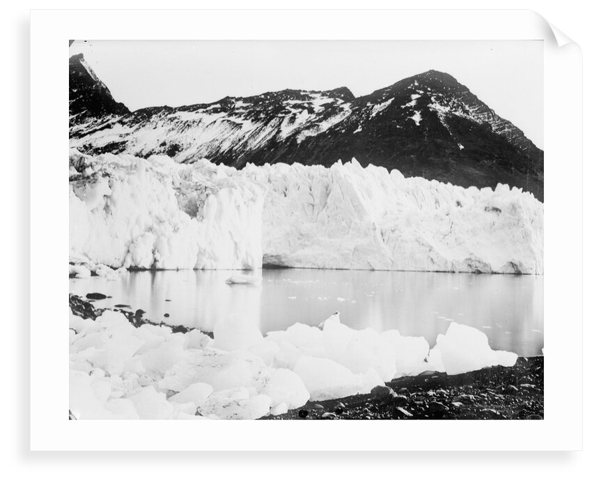 Hamberg Glacier, Moraine Fjord, South Georgia by unknown