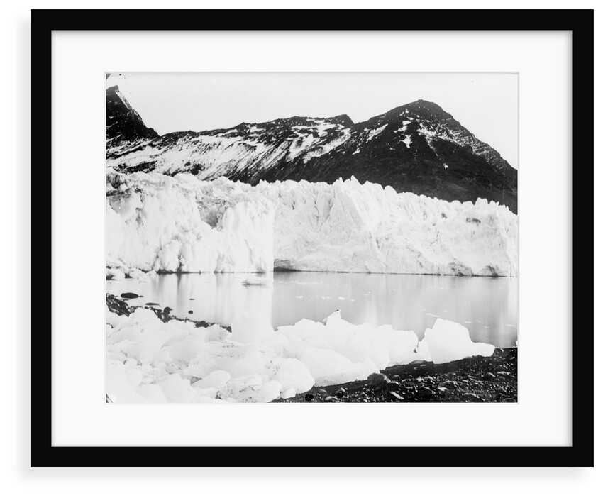 Hamberg Glacier, Moraine Fjord, South Georgia by unknown