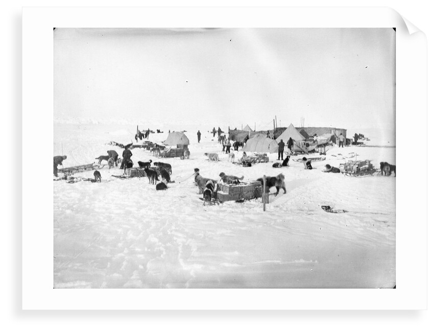 Ocean Camp established on the ice, Weddell Sea, Antarctica by unknown