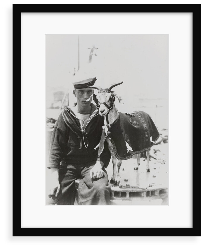 Goat mascot on board the HMS 'Irresistible' (1898) in Malta by unknown