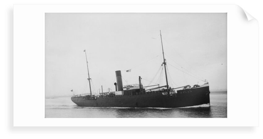 The Argo Line steamship 'Adler' (1900) by unknown