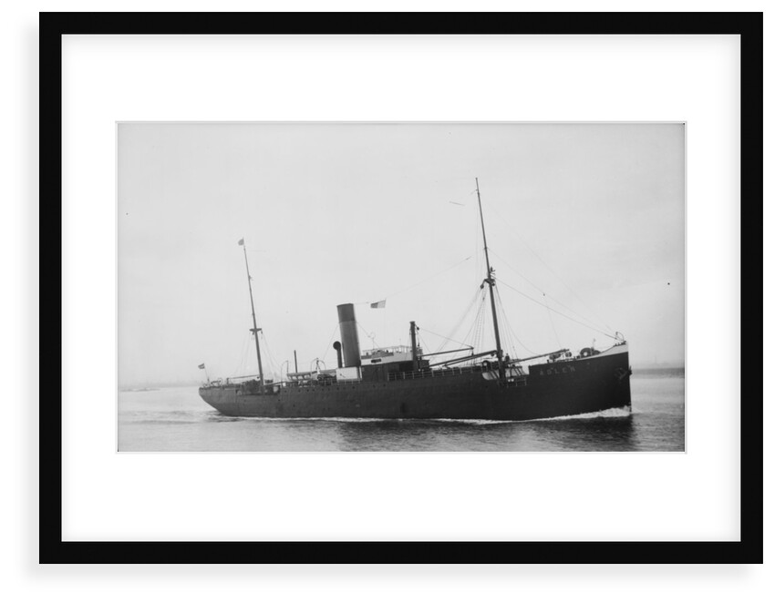 The Argo Line steamship 'Adler' (1900) by unknown