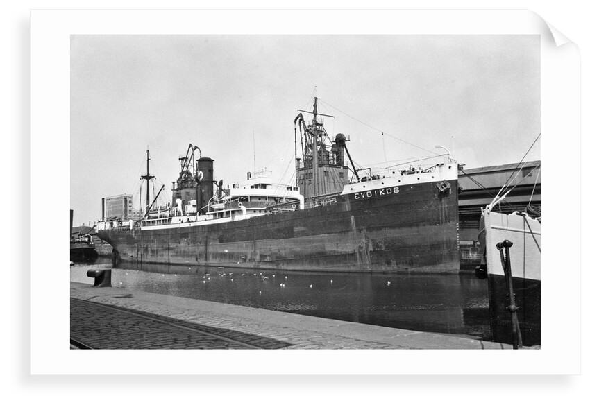 The 'Evoikos' (Gr, 1922) in dock by Unknown