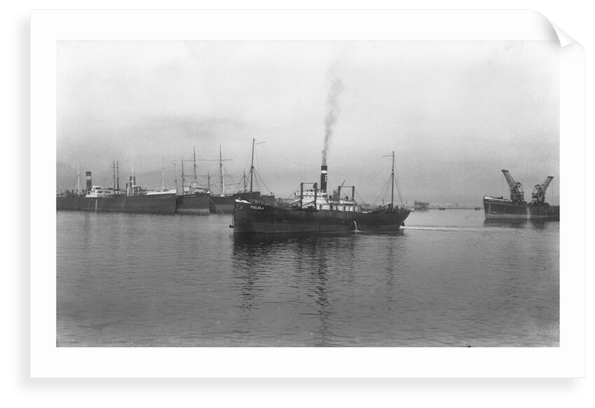 'Pugliola' (It, 1917) under way at Genoa by unknown