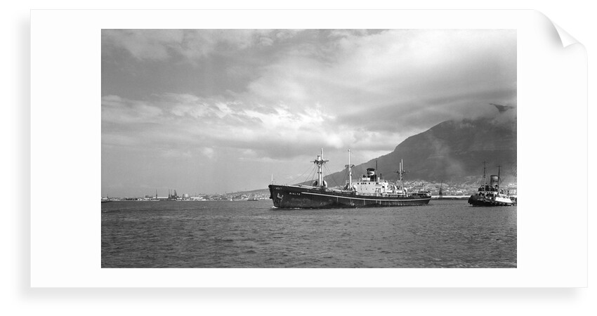 Liberty' type, general cargo ship 'Rialto' (Italy, 1943), ex 'Henry C. Paine'. Compagnia Armatoriale Italiana Molin & Meotto by unknown