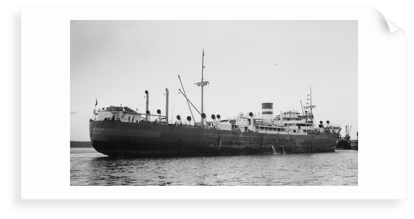 Silverwillow' (Br, 1930) by Unknown