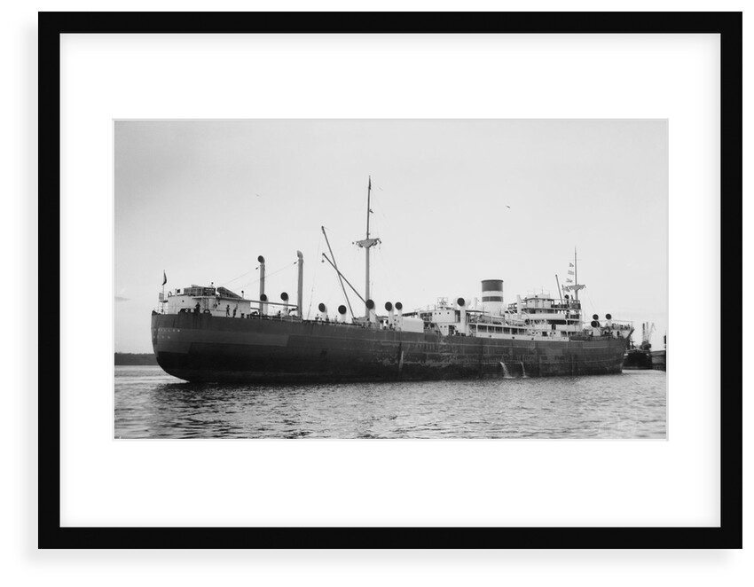 Silverwillow' (Br, 1930) by Unknown