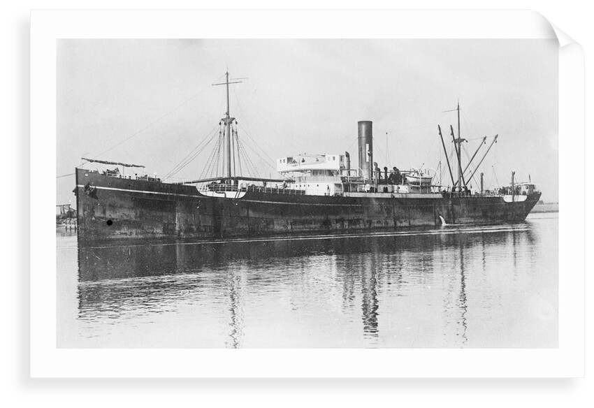 'Trevaylor' (Br, 1912) by unknown