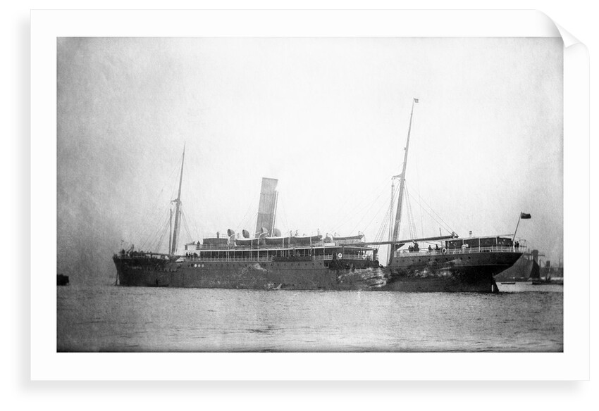 'Inkosi' (Br, 1902) by unknown