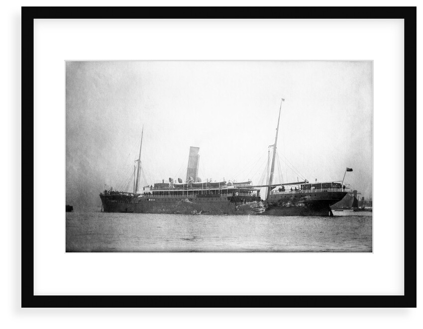 'Inkosi' (Br, 1902) by unknown