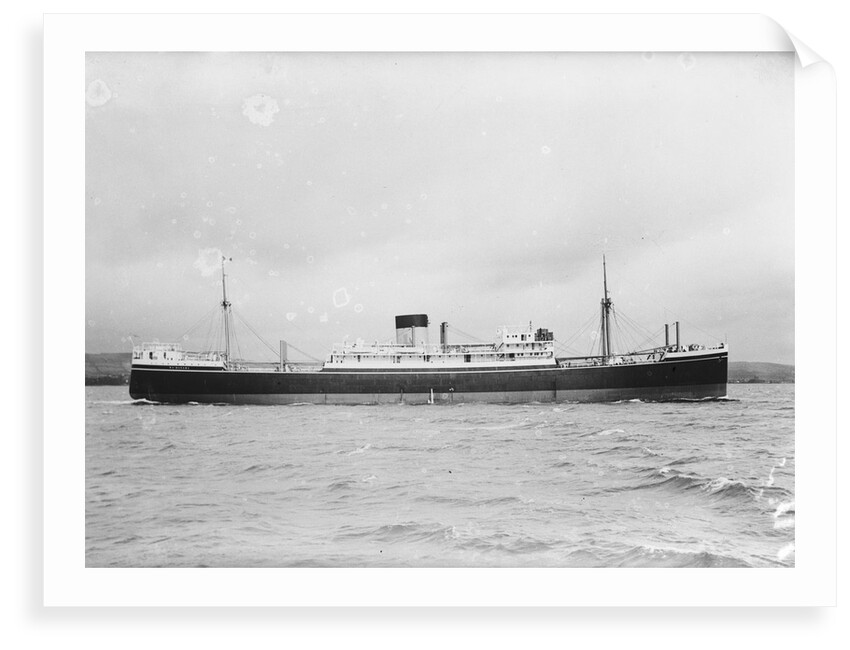 The 'Waimarama' (Br, 1938) by unknown