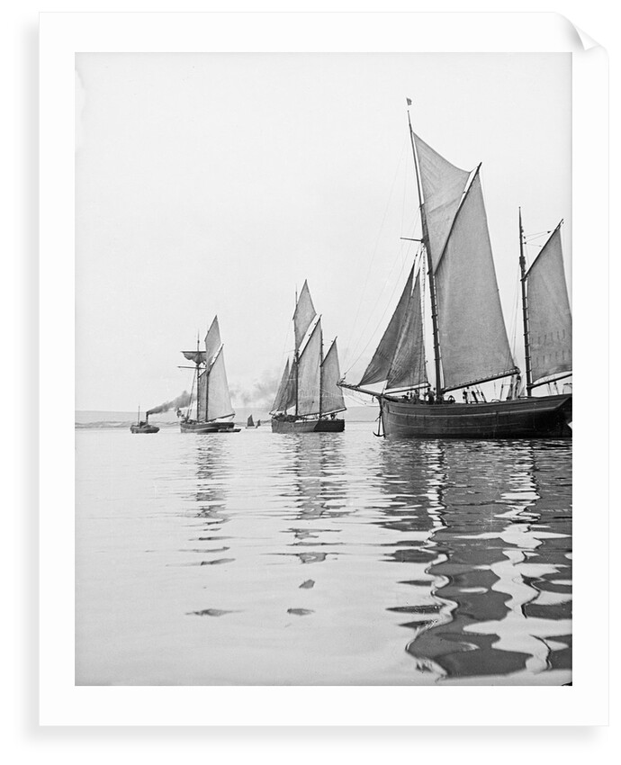 A tug and sailing vessels on the River Torridge off Appledore in Devon by unknown