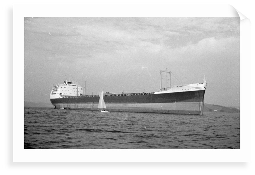 'Barlby' (Br, 1962) by unknown