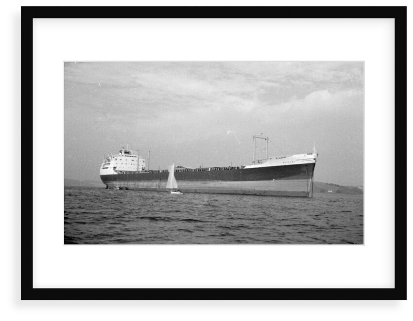'Barlby' (Br, 1962) by unknown