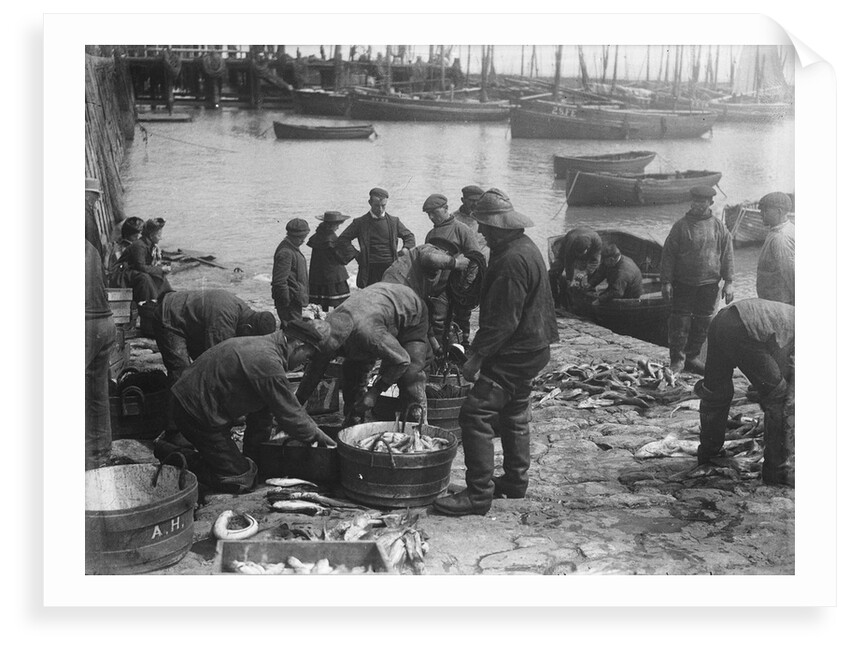 Folkestone, Kent. Sorting fish on the harbour slipway at low water by unknown