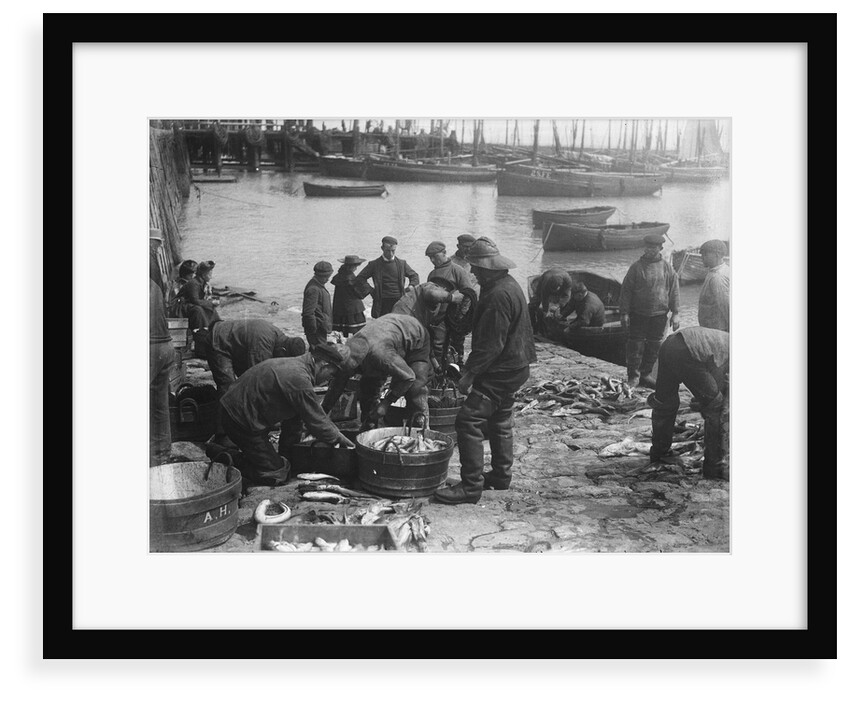 Folkestone, Kent. Sorting fish on the harbour slipway at low water by unknown