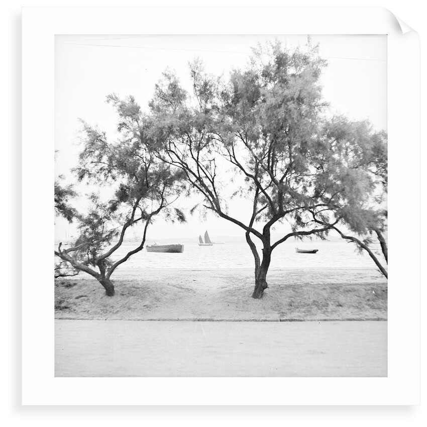 Looking seaward from the bund at Weihaiwei by David Watkin Waters