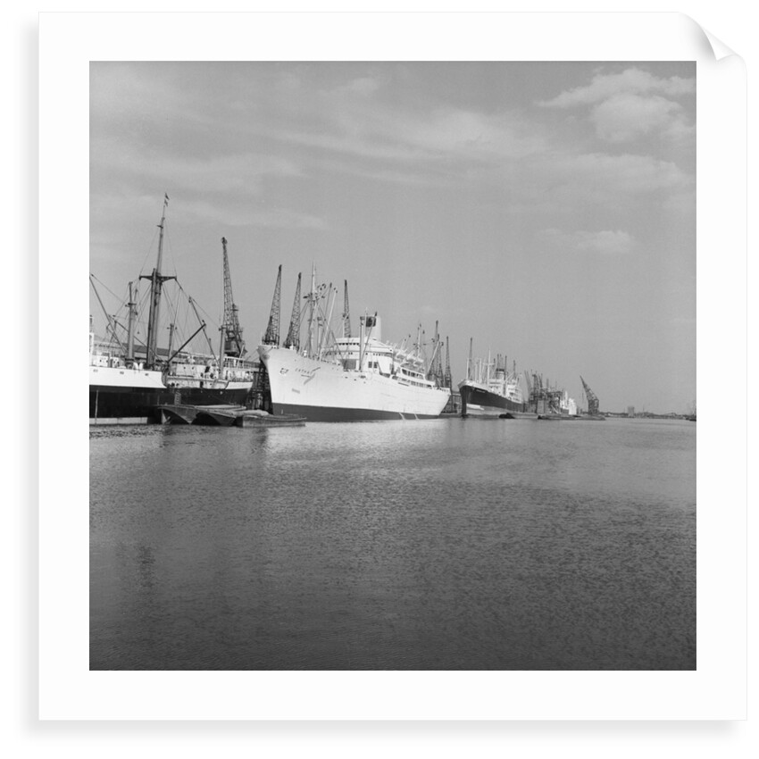The 'Cathay' and the 'Rhodesia Star' by Grierson