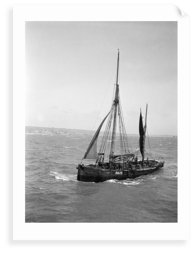 The Brixham trawler 'Provident'  (Britain, 1924), William Pillar, 5 Berry Head Road, Brixham by unknown