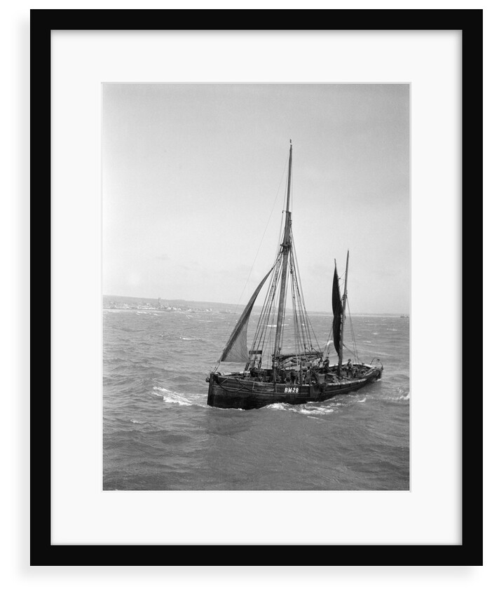The Brixham trawler 'Provident'  (Britain, 1924), William Pillar, 5 Berry Head Road, Brixham by unknown