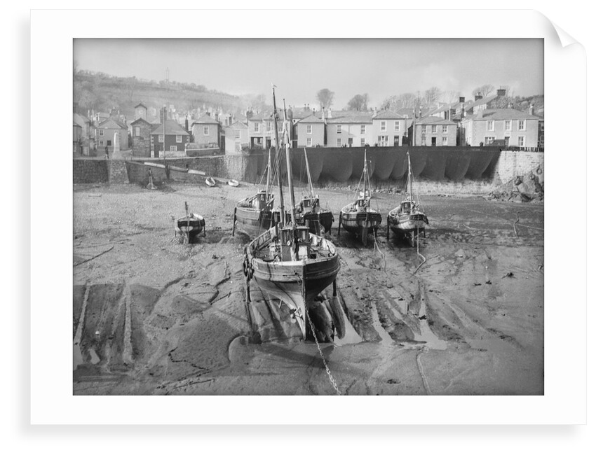 'Boy Willie' Mounts Bay mackerel driver by unknown