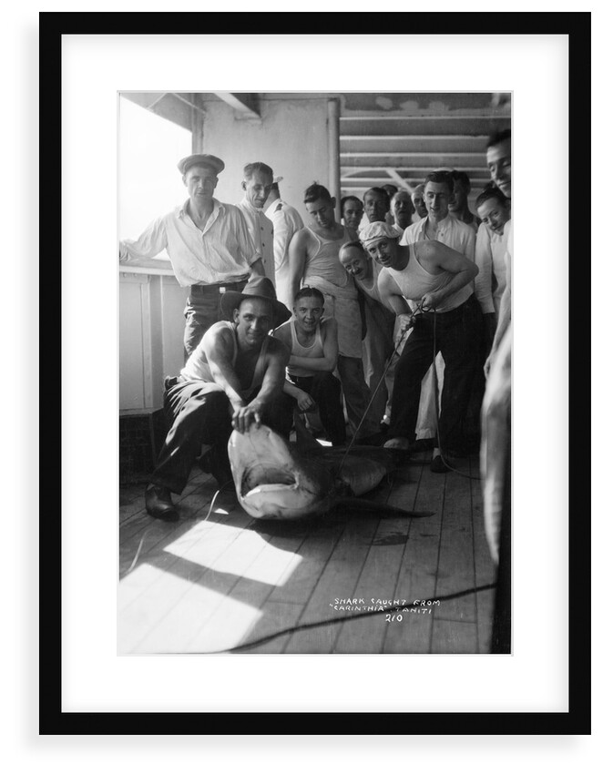 A group of off-duty crew from 'Carinthia' (1925) pose with a captured shark on deck by Marine Photo Service