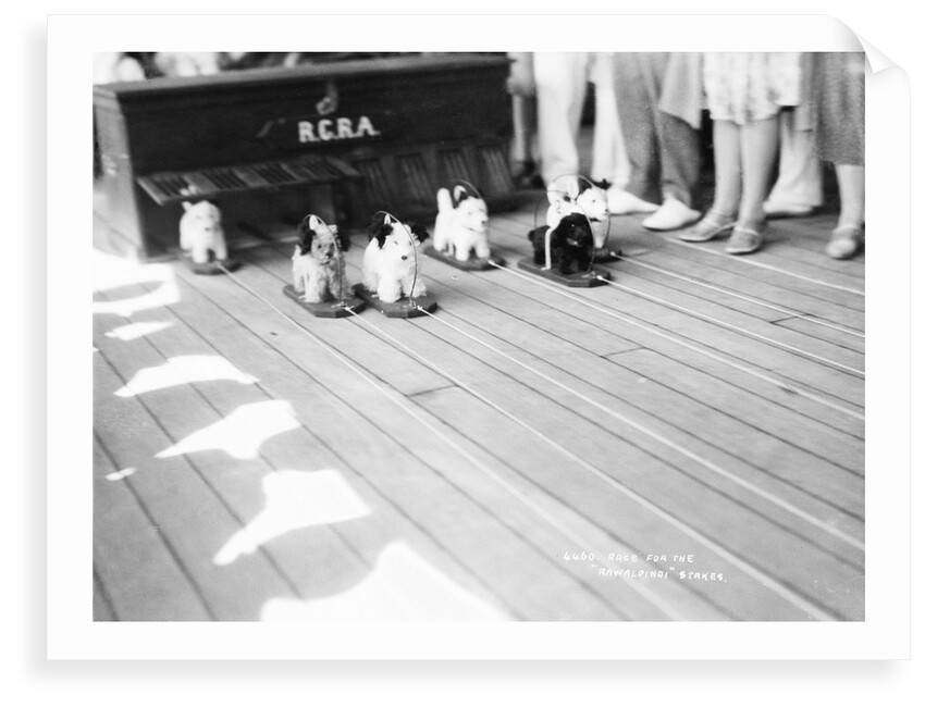 Dog racing aboard the 'Rawalpindi' by Marine Photo Service