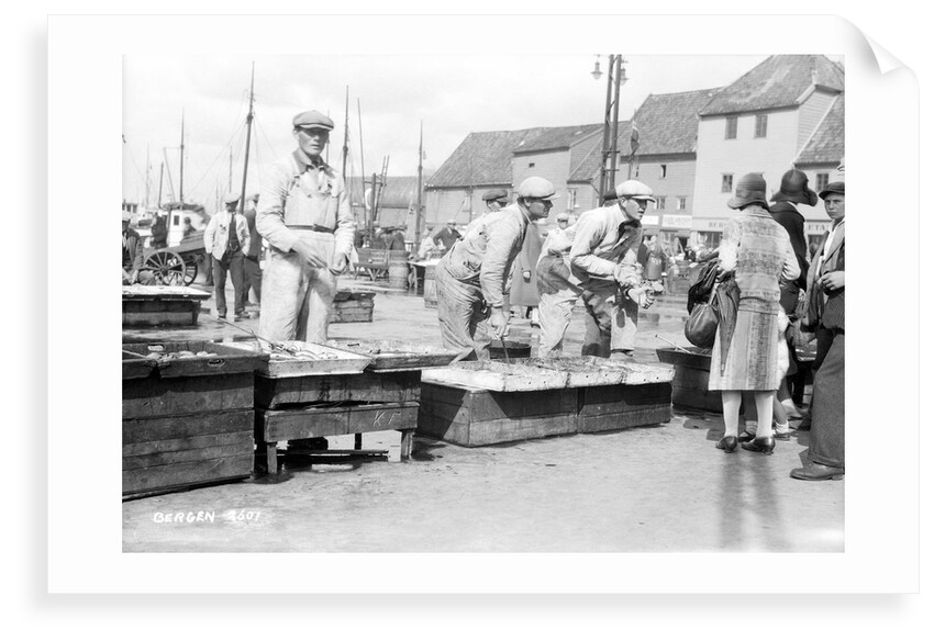 A fish market in Bergen, Norway by Marine Photo Service