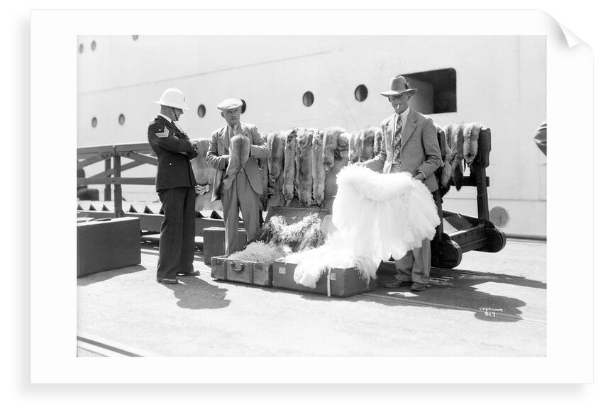 Stole and cape sellers, Cape Town, South Africa by Marine Photo Service