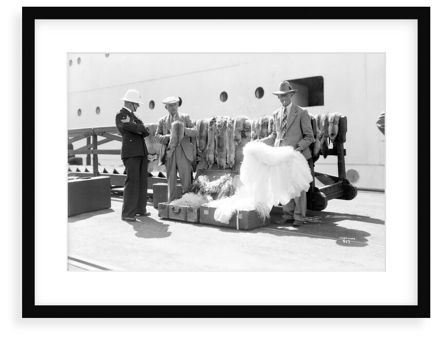 Stole and cape sellers, Cape Town, South Africa by Marine Photo Service