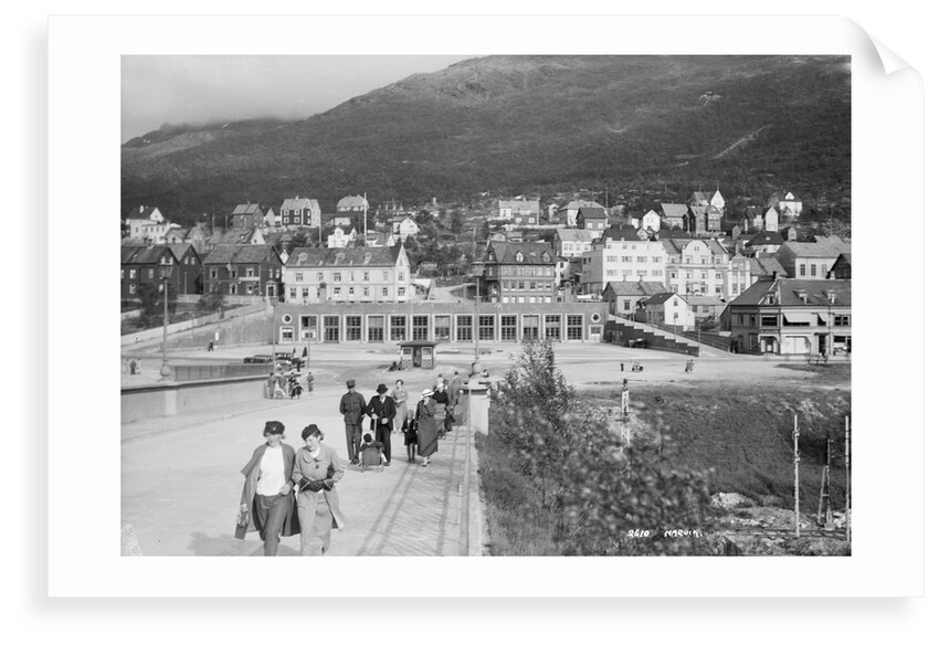 View of Narvik, Norway by unknown
