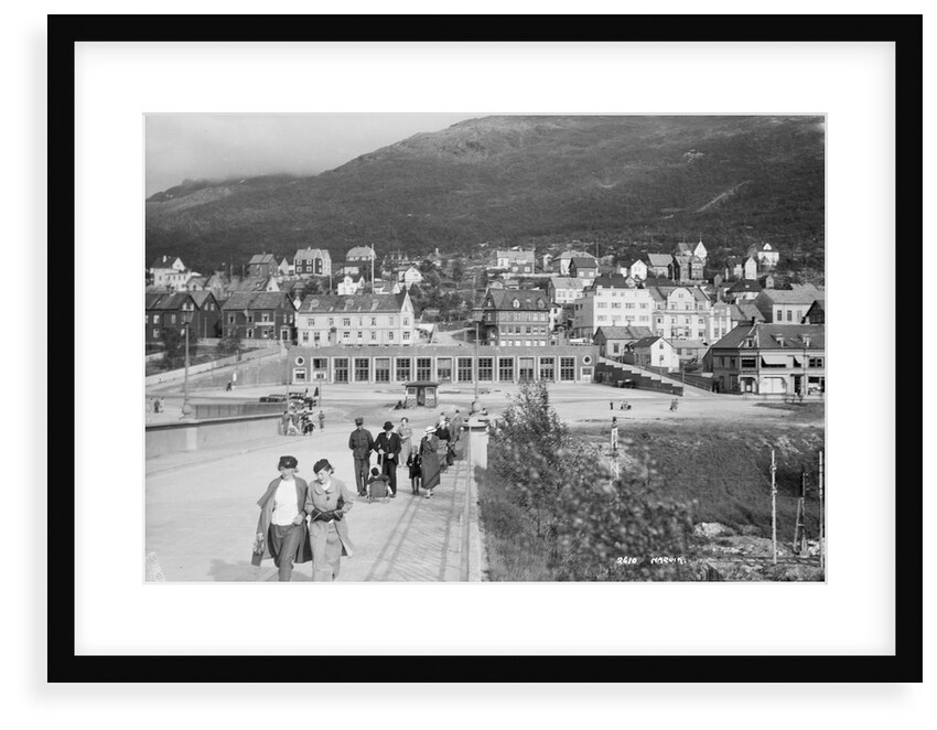 View of Narvik, Norway by unknown