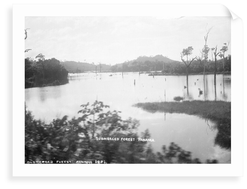 Panama Canal, Panama, 1935 by Marine Photo Service