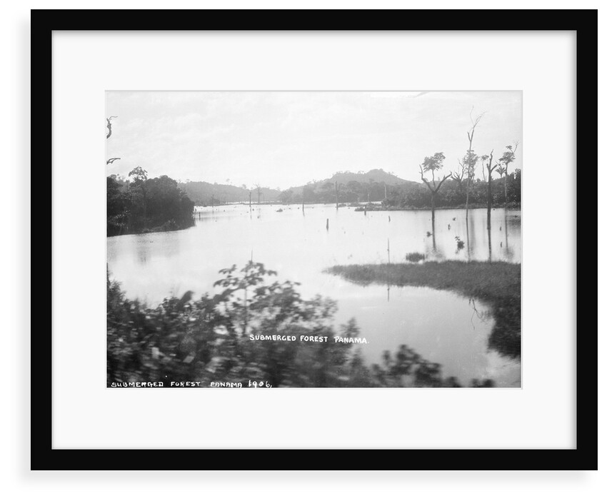 Panama Canal, Panama, 1935 by Marine Photo Service
