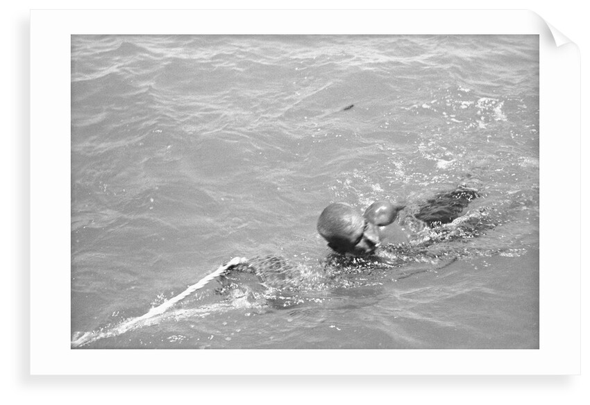 Pearl diver coming up for air by Alan Villiers
