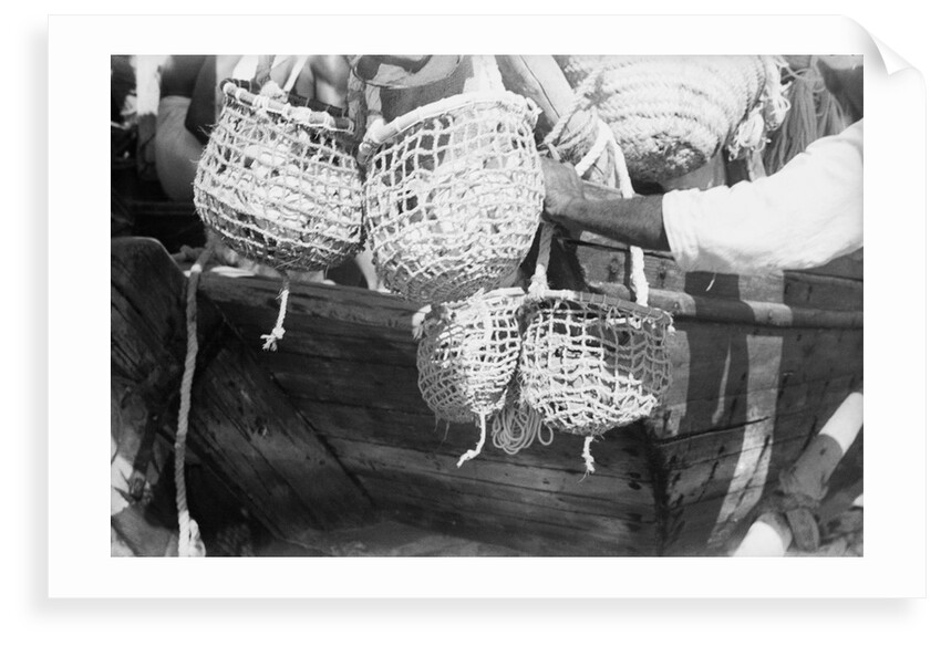 Divers' baskets filled with shells by Alan Villiers