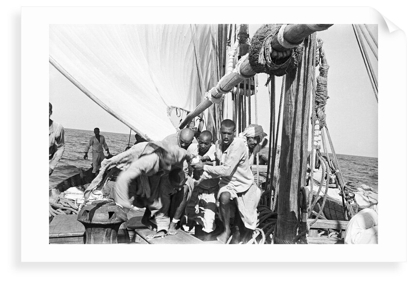 The crew labour on the mainsail after Haifun by Alan Villiers