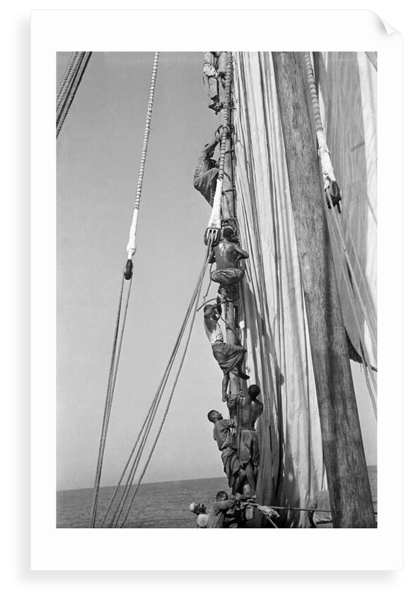 Kuwaiti sailors climbing aloft and working on the lateen yard by Alan Villiers