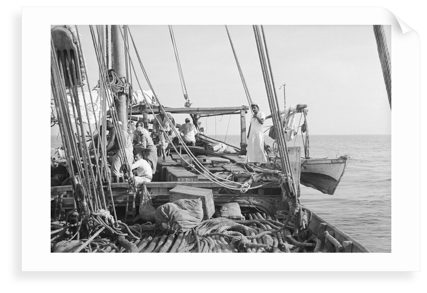 'Triumph of Righteousness' bound for Bahrain with her cargo of mangrove poles by Alan Villiers