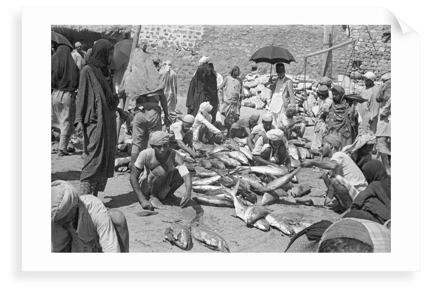 Fish being sold on the beach, Mutrah by Alan Villiers