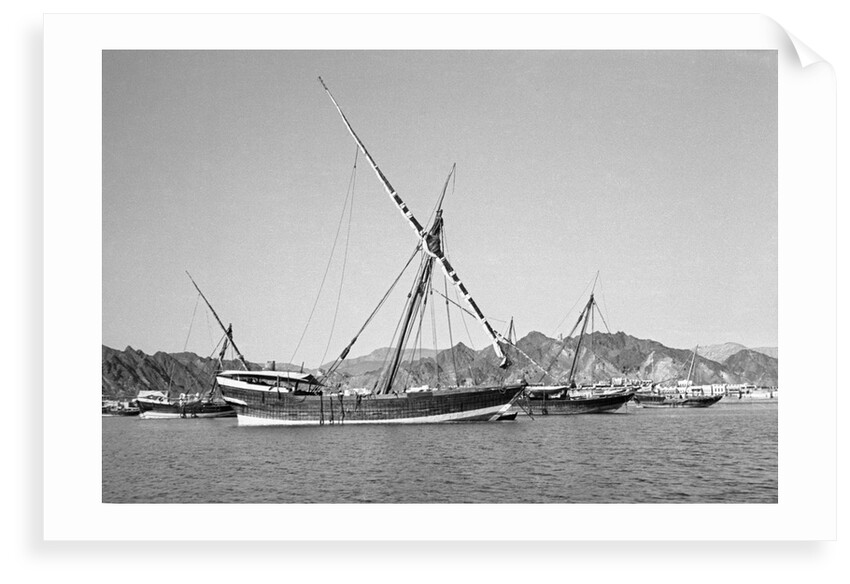 Indian dhows lying at anchor at Mutrah by Alan Villiers