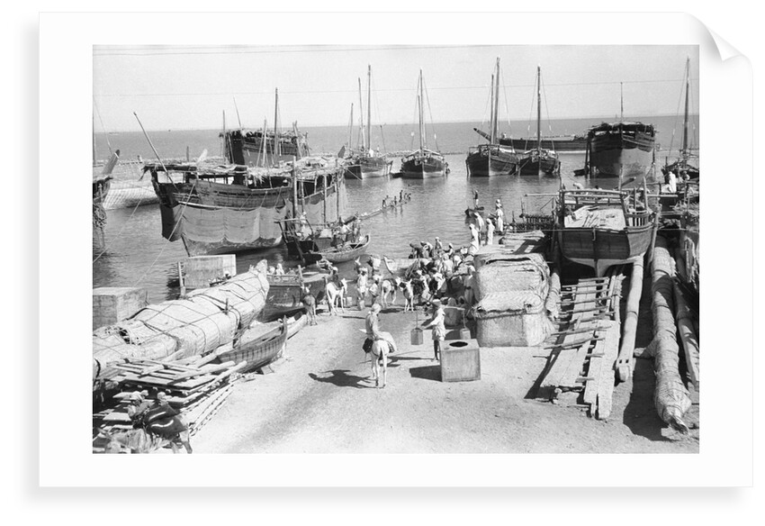 Water dhows, donkeys and water-carriers by Alan Villiers